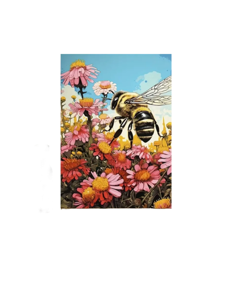 Slikanje po številkah Slikanje s platnom in akrilnimi pigmenti 40 cm x 50 cm