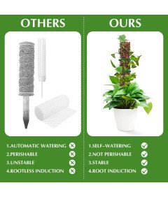 Prozorne palice za plezalne rastline DIY kit 61 cm