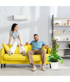 Prozorne palice za plezalne rastline DIY kit 61 cm